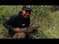 PANIK PAK... ‼️ Ikan Sebesar Bayi Tiba-tiba Nyambar Umpanku || Casting Ikan Gabus Haruan