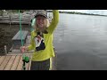 Fishing Perch, Bluegill, Carp, Pumpkinseed, Rock Bass, Catfish, Crappie & Bass on Rice Lake #fishing