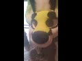 Furry Social Media!