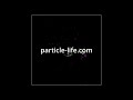The code behind Particle Life