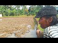 SANGAT MIRIS..! kakek Dan cucu  kuli Membajak sawah kepunyaan orang Lain