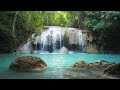 30 Mins Of Relaxing Sleep Music With Forest Sound | Calm Mind, Heal Soul, And Sleep Quickly