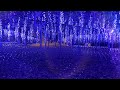 Ashikaga flower park IlluminAtion2023