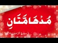 سورة الرحمن علاج لكل مرض - Surah Rahman treatment for every sickness (3 TIMES) عبد الباسط عبد الصمد