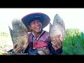 PECAH REKOR 2023!!! Mancing ikan di sungai liar hampir gak gercaya ikan nya gede banget