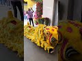 Lion dance 2024 Feb