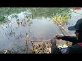 Ngabango Mancing Ikan Di Sungai yang Banyak Eceng Gondok nya