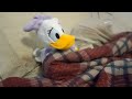 Daisy DUCK.video