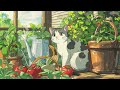 Collection of the best Ghibli OST 🌸 Studio Ghibli Piano Collection 🎶 My Neighbor Totoro