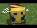 what's inside mobs and blocks - BIG compilation
