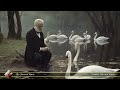 Baroque Music Collection - Tchaikovsky- Swan Lake - Most Famous Classical Pieces & AI Art - 432hz