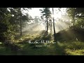 🌳Ultimate relaxation, new age music therapy for the mind