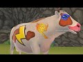 Super Cow Heroic vs. Wild Bull: Epic Rescue of Giant Elephant and Wild Animals