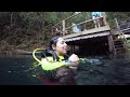 Crystal Clear rivers of Bonito in Brazil - (I swam with an Alligator!)