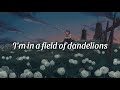 Dandelions - Ruth B (Lyrics)🍃🌀