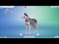 Sims 4: Creating Smile Dog in CAS