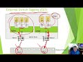 Understanding VMware Virtual Switches..  Explanations of VLANS, Teaming and More..