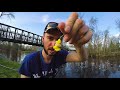 Spring Carp are HEATING UP --- Hair Rig Techniques