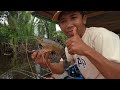 Nyaris zonk mendadak hujan sangat deras saat mancing di sungai langsung masak mie tiaw udang galah