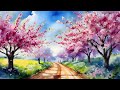 Healing_Calm Music_Watercolor_Cherry Blossoms