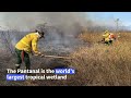 Brazil's wetland Pantanal region ravaged by hundreds of wildfires | AFP