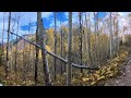 360° Hike in Maroon Bells Snowmass Wilderness, Aspen Colorado | 4K | #insta360