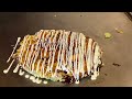 Okonomiyaki: The Ultimate Japanese Comfort Food