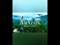 The Mysterious Amazon Rainforest (Part 1)