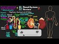 Renal System Review - CRRT Explained!