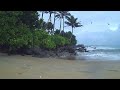Relaxing Music with Ocean Waves: Beautiful Piano, Sleep Music, Stress Relief, Wave Sounds