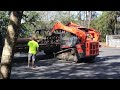 Skid Steer with GRAPPLE CLAW moving Tree Trunks