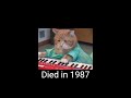 Meme heroes who have died #shorts #memes