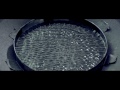 Cymatics: Chladni Plate - Sound, Vibration and Sand