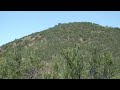 San Lucia Foothills Up in Sage Country in Spring