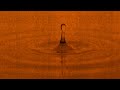 Slow Motion Water Drops Video With Special Effect On Orange-1 (FREE 4K Video)