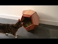 Crafting a Cat-tastic Dodecahedron Basket: Woodworking Fail turned into Epic Feature!