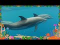 Let's Meet Dolphins | Dolphins names for Kids | Learn about Sea Animals | Sea Vocabulary