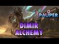 MTG - Get dirty! With Dimir Alchemy, a Powerful Control Deck in Pauper for Magic: The Gathering