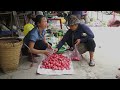 Unexpected Romance: Single Man Brings Fish to Give Girl - Harvest Red Whip Fruit Goes to Market Sell