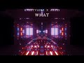 Rnbstylerz & AREES - WHAT