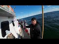 Fishing For A $1300 Block Island Blackfish