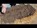 Start a Straw Bale Garden (Complete How-to)