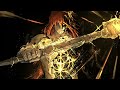 Elden Ring OST - The Final Battle (Radagon of the Golden Order) [Phase 1 Extended]