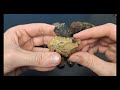 Looking For Titanite Crystals and More At Titanite Hill! Ontario Rockhounding