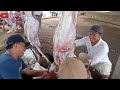 menguliti kambing di hari idul Adha