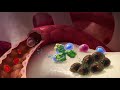 Myeloma UK The Origin of the Myeloma Cell