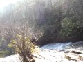 Appalachian Waterfall