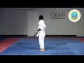 Chi no kata - International Hayashi-Ha Shito-Ryu