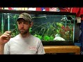 How to set up a FRESHWATER AQUARIUM: Beginners guide to your 1st Fish Tank