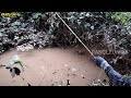MANCING /// hasil sesuai target di spot hutan Kalimantan
